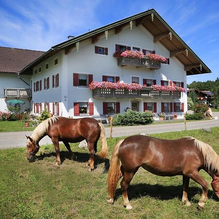 Heutauer Hof Villa Siegsdorf Kültér fotó