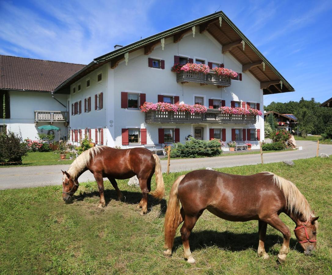 Heutauer Hof Villa Siegsdorf Kültér fotó
